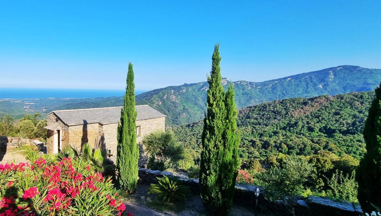Domaine Colonna-Santini, Gite Piscine, Sauna, Spa Porri Eksteriør bilde