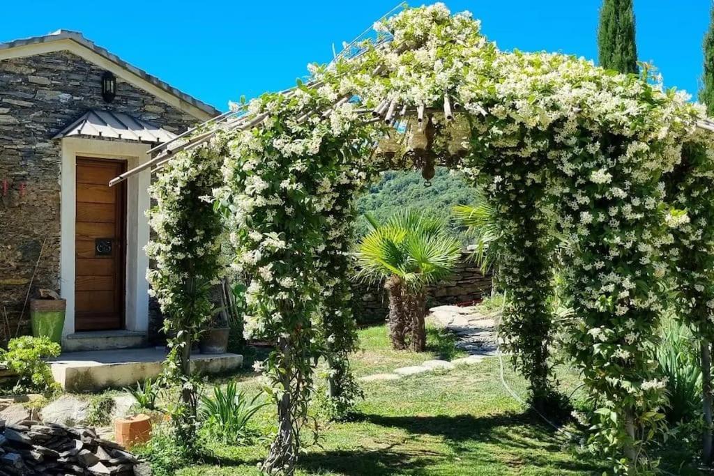 Domaine Colonna-Santini, Gite Piscine, Sauna, Spa Porri Eksteriør bilde