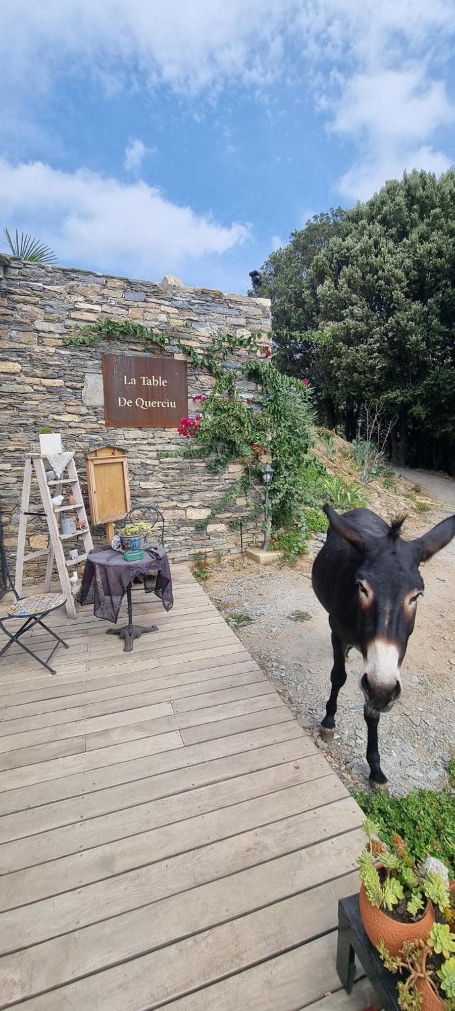 Domaine Colonna-Santini, Gite Piscine, Sauna, Spa Porri Eksteriør bilde