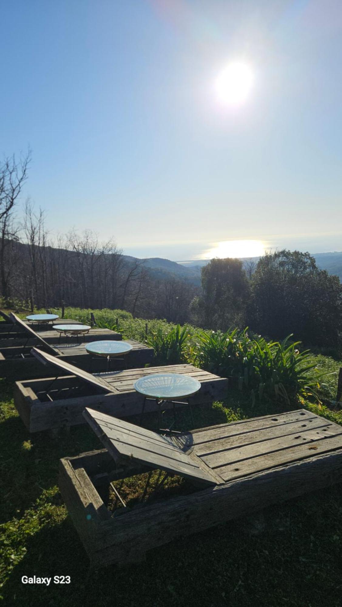 Domaine Colonna-Santini, Gite Piscine, Sauna, Spa Porri Eksteriør bilde